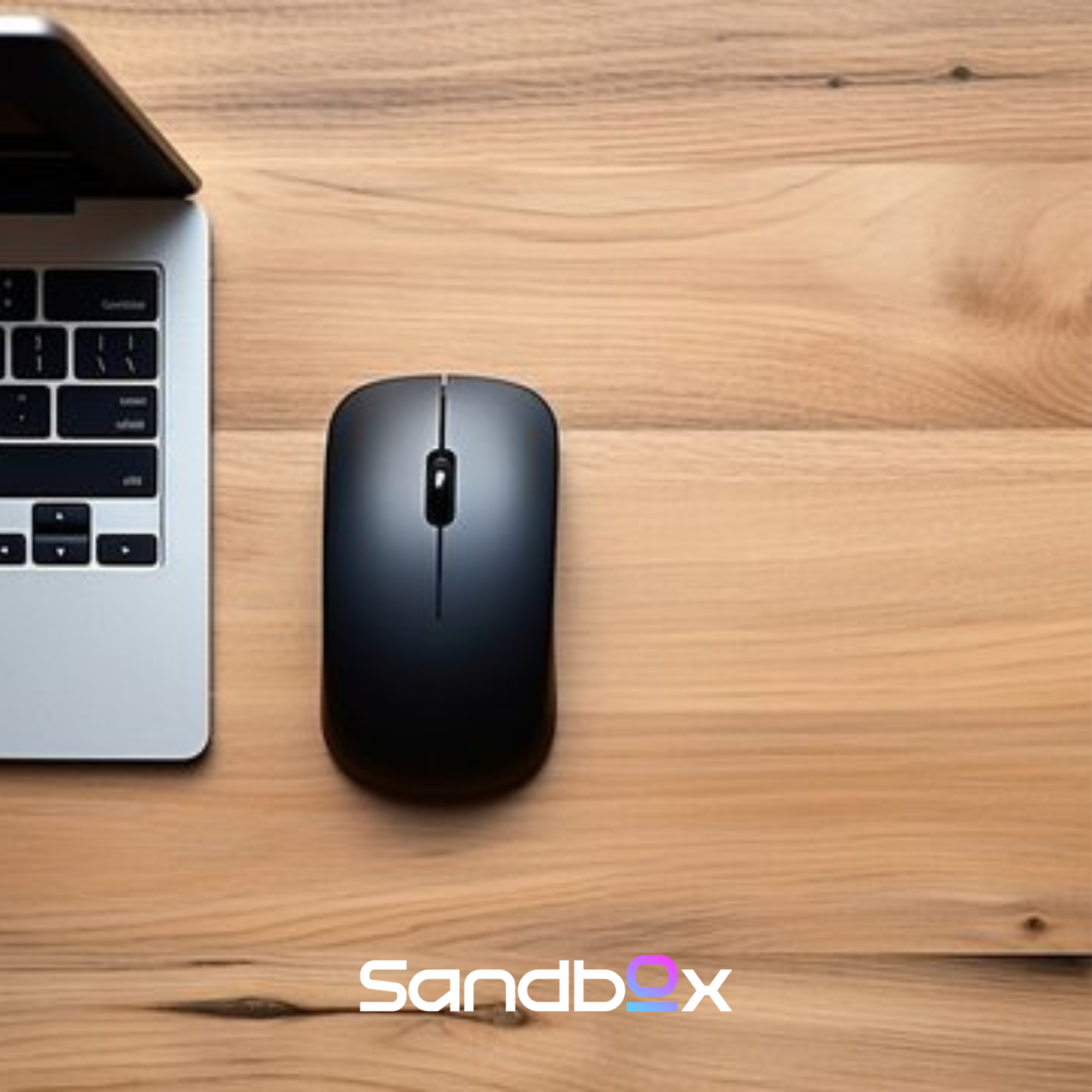 Top 10 Mice to Consider in 2024